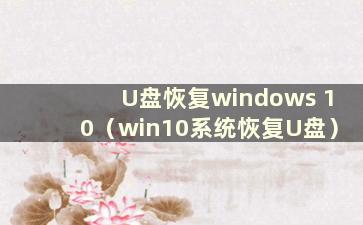 U盘恢复windows 10（win10系统恢复U盘）